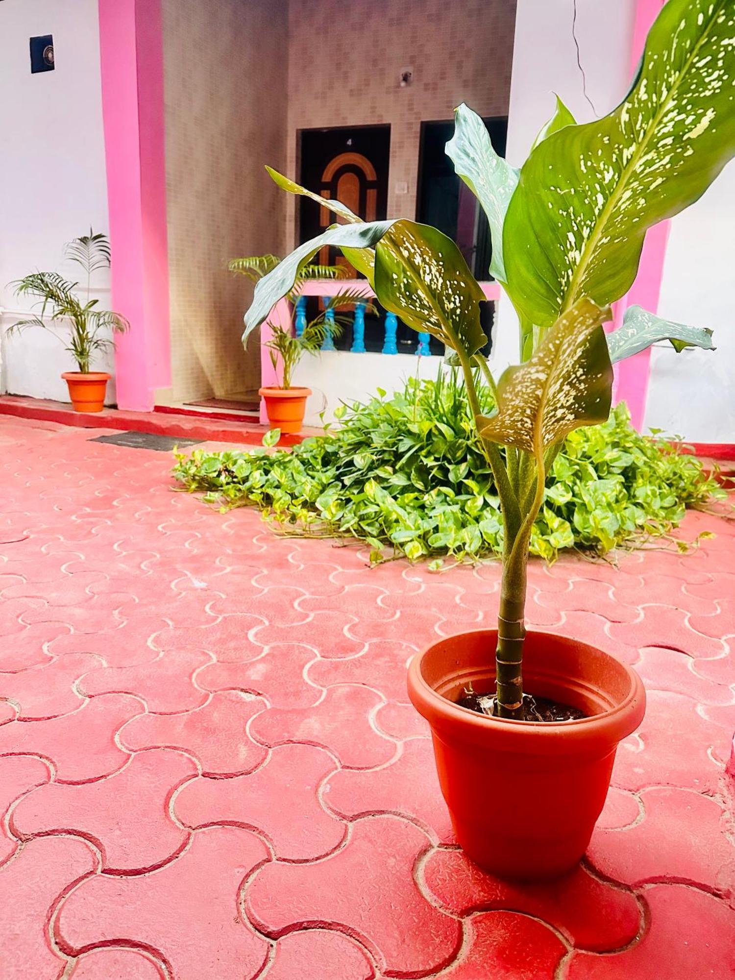 Blue Mirage Palolem Goa Hotell Canacona Eksteriør bilde
